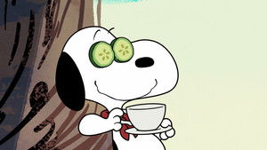 Snoopy tábora 1. évad Ep.9 Kóc és kutyaápolás / A nagy aranyláz