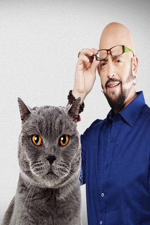 Pokoli macskák poszter