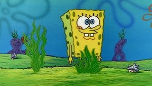SpongyaBob Kockanadrág 1. évad Ep.18 A természet lágy ölén