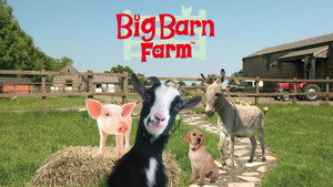 Napfény farm kép