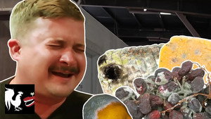 RT Life 7. évad Ep.65 65. epizód