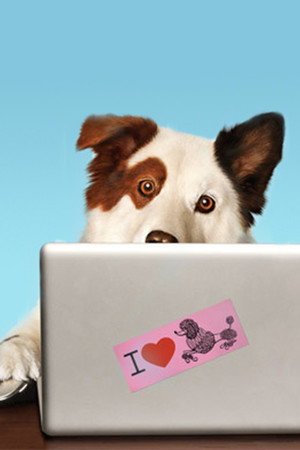 Dog with a Blog poszter