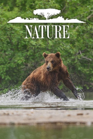 Nature poszter