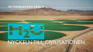 Vetenskapens värld 47. évad Ep.2 2. epizód