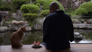 A Cat's-Eye View of Japan 4. évad Ep.1 1. epizód