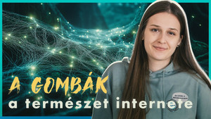 Világjegy 2. évad Ep.11 Tovább merülünk a GOMBÁK VÉGTELEN HÁLÓZATÁBA
