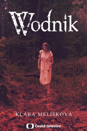 Vodník poszter