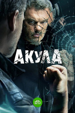 Акула poszter