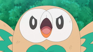 Pokémon 22. évad Ep.41 41. epizód