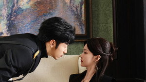 乘龙赘婿 kép