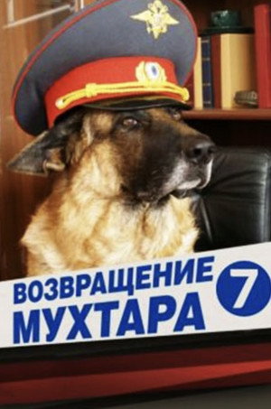 Возвращение Мухтара 7. évad (2011-05-10) poszter