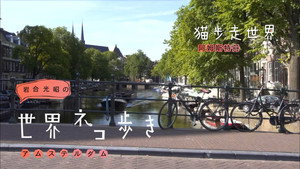 岩合光昭の世界ネコ歩き 1. évad Ep.41 41. epizód