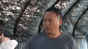 我和我的松树村 1. évad Ep.42 42. epizód