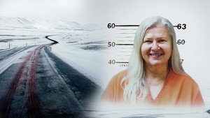 Nem vagyok szörnyeteg: A Lois Riess-gyilkosságok kép