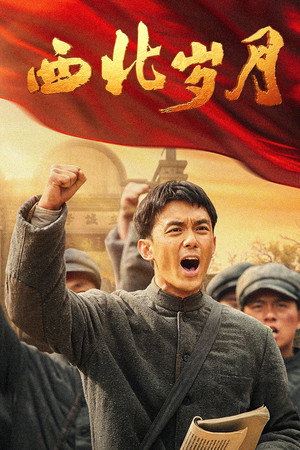 西北岁月 poszter