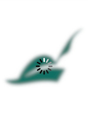 Szilícium-völgy poszter