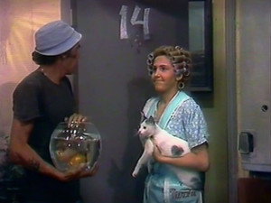 El Chavo del Ocho 1. évad Ep.15 15. epizód