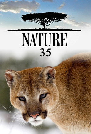 Nature 35. évad (2016-10-12) poszter