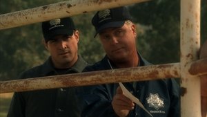 CSI: A helyszínelők 3. évad Ep.8 Szippantás