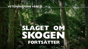 Vetenskapens värld 48. évad Ep.30 30. epizód