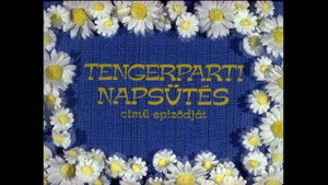 Mirr Murr a kandúr 4. évad Ep.8 Tengerparti napsütés