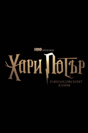 Harry Potter poszter