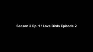 Joseph & Lindsey 2. évad Ep.1 1. epizód