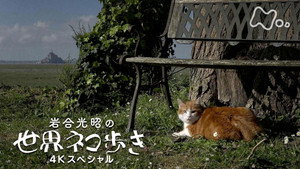 岩合光昭の世界ネコ歩き 1. évad Ep.140 140. epizód