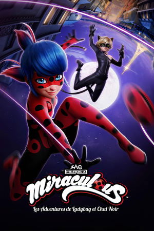 Miraculous Katicabogár és Fekete Macska kalandjai poszter