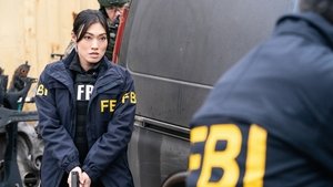 FBI: New York különleges ügynökei 2. évad Ep.13 13. epizód