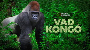 Vad Kongó kép