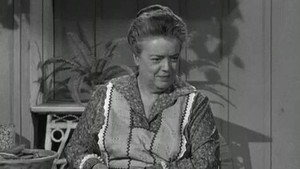 The Andy Griffith Show 2. évad Ep.9 9. epizód