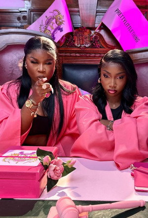 The Pink Courtroom poszter