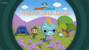 Octonauts: Above & Beyond 3. évad Ep.5 5. epizód
