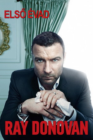 Ray Donovan 1. évad (2013-06-30) poszter