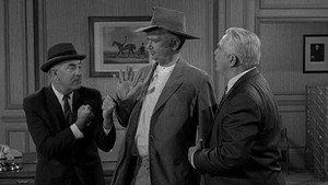 The Beverly Hillbillies 3. évad Ep.29 29. epizód