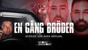 Uppdrag granskning: En gång bröder kép