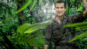 Bear Grylls: Sztárok a vadonban kép