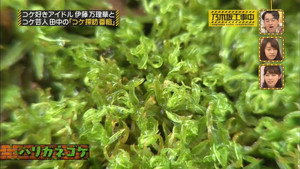 乃木坂工事中 1. évad Ep.9 9. epizód