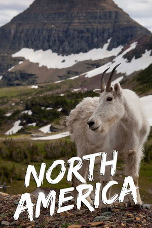 North America poszter