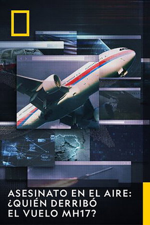 Murder in the Skies: Who Downed Mh17? poszter