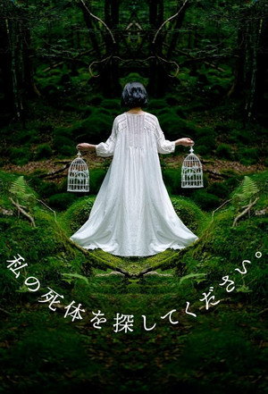 私の死体を探してください。 1. évad (2024-09-04) poszter