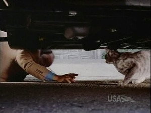 Nash Bridges - Trükkös hekus 6. évad Ep.4 4. epizód