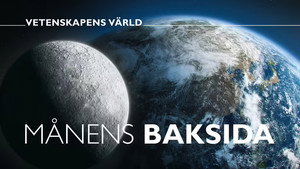 Vetenskapens värld 49. évad Ep.30 30. epizód