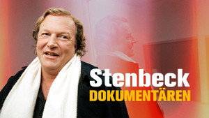 Stenbeck kép