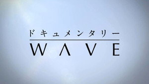 ドキュメンタリーＷＡＶＥ kép