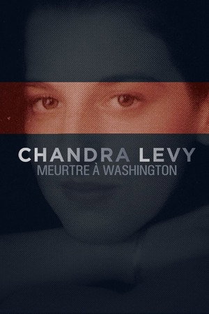 Chandra Levy: An American Murder Mystery 1. évad (2017-09-04) poszter