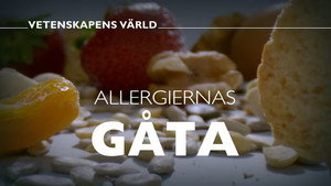 Vetenskapens värld 48. évad Ep.31 31. epizód
