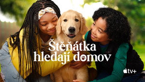 Kutyuskuckó kép