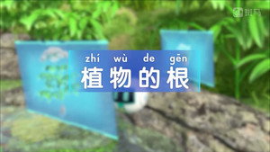 斑马百科 4. évad Ep.2 2. epizód